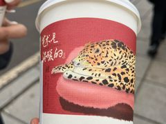 -茶颜悦色(岳麓山顶店)