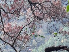 -东南悬空寺方广岩