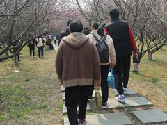 -南湖湿地公园