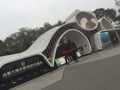 -成都大熊猫繁育研究基地