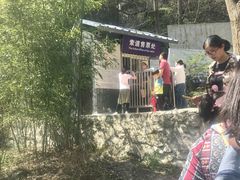 -王顺山国家森林公园