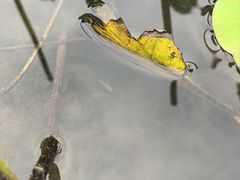 -沐仙湖湿地公园
