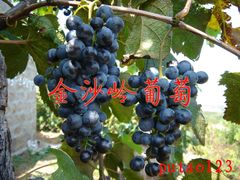 bc001-大泽山风景名胜区