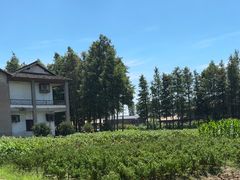 -乌村