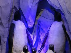 -太平洋海底世界