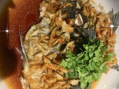 脆鳞野生苏丹鱼-同乐轩