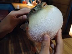 -永安鱼庄·镇江菜(丁卯店)