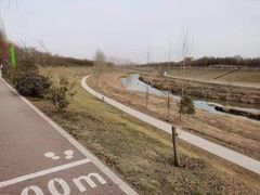 -洨河生态公园