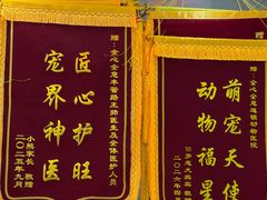 -全心全意连锁动物医院·微创中心·内科急重症·心脏专科(丰管路店)