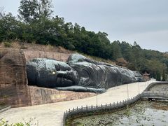 -三水森林公园