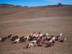 -塞罕坝国家级自然保护区
