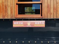 -莫尔道嘎国家森林公园