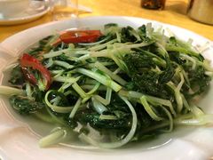 -鸽王世家(东华东路店)