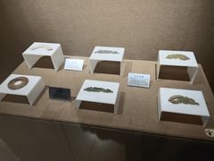 -洛阳周王城天子驾六博物馆