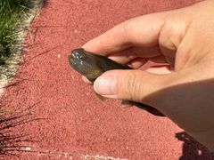 -蒲黄榆(地铁站)