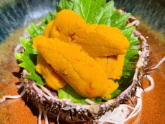 -鲤·鮨KOISUSHI