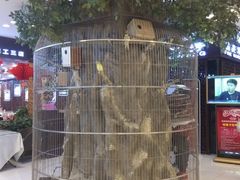 -东四民芳餐厅(世茂工三店)