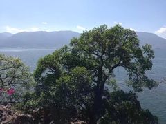 -南诏风情岛