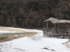 -黄龙山原始森林景区