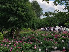 -黑龙江省森林植物园