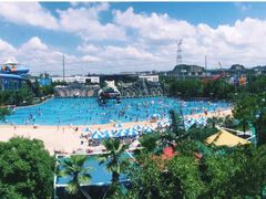 -苏州乐园森林水世界