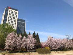 -海棠花溪(元大都城垣遗址公园)