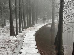 -四明山国家森林公园