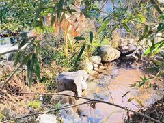 -天芳悦潭度假村温泉