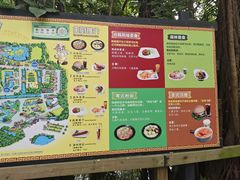 -广州长隆飞鸟乐园