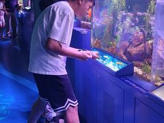 -广州长隆国际大马戏