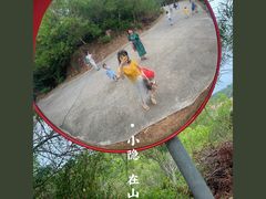 -广东惠东海龟国家级自然保护区