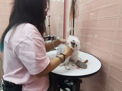 -FAELING PETS美天灵宠物(合生汇店)