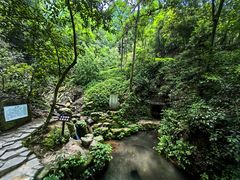 -岳麓山风景名胜区