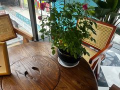 -蛙一刀·麻椒鱼火锅(金仙桥店)