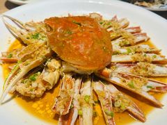 -连鹭海鲜·海肠捞饭·海胆饭(星海店)