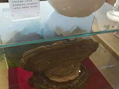 -正安中医(广渠店)