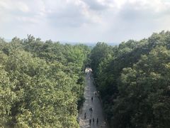 -灵谷景区