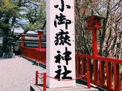 -富士山吉田線五合目