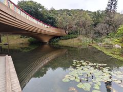 -云溪植物园