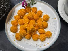 -丁老爷子苏香圆