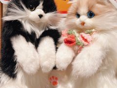 -番茄口袋(上海普陀区环球港店)