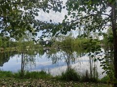 -白鹭湾湿地公园