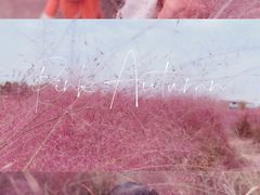 -映月湖中央公园