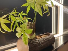 -群姐面馆·海鲜烧烤(同安路二店)
