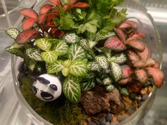 -KKV(深圳宏发大仟里店)