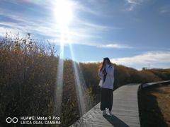 -塞罕坝国家级自然保护区