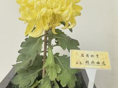 -小榄人家酒楼(民安店)