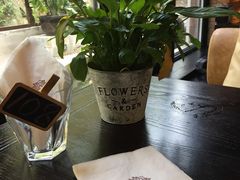 -Local泰莲庭(虹鳟鱼店)