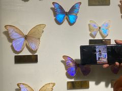 -上海昆虫博物馆