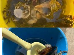 -东戴河风景区-止锚湾